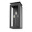 Z-Lite Nova 3 Light 8.25" Outdoor Wall Light, Black/Clear