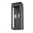 Z-Lite Nova 2 Light 5.5" Outdoor Wall Light, Black/Clear