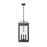 Z-Lite Hartwell 4Lt Outdoor Ceiling Fixture/Chain, Black/Seed