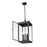 Z-Lite Hartwell 5Lt Outdoor Ceiling Fixture/Chain, Black/Seed
