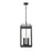 Z-Lite Hartwell 5Lt Outdoor Ceiling Fixture/Chain, Black/Seed