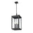 Z-Lite Hartwell 5Lt Outdoor Ceiling Fixture/Chain, Black/Seed