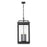 Z-Lite Hartwell 6Lt Outdoor Ceiling Fixture/Chain, Black/Seed