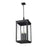 Z-Lite Hartwell 6Lt Outdoor Ceiling Fixture/Chain, Black/Seed