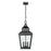 Z-Lite Raphael 3Lt Outdoor Chain Mount Ceiling, Black/Clear Seedy