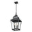 Z-Lite Raphael 3Lt Outdoor Chain Mount Ceiling, Black/Clear Seedy