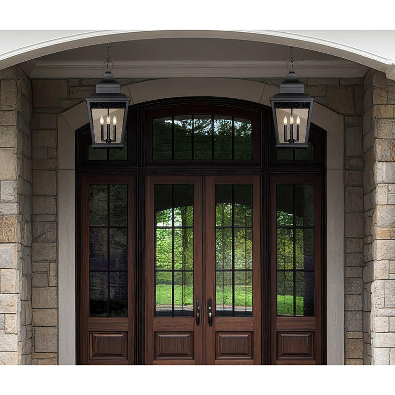Z-Lite Raphael 4Lt Outdoor Chain Mount Ceiling, Black/Clear Seedy