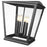 Z-Lite Raphael 4Lt Outdoor Chain Mount Ceiling, Black/Clear Seedy