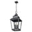 Z-Lite Raphael 4Lt Outdoor Chain Mount Ceiling, Black/Clear Seedy
