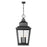 Z-Lite Raphael 5Lt Outdoor Chain Mount Ceiling, Black/Clear Seedy