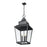 Z-Lite Raphael 5Lt Outdoor Chain Mount Ceiling, Black/Clear Seedy