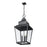Z-Lite Raphael 5Lt Outdoor Chain Mount Ceiling, Black/Clear Seedy