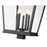 Z-Lite Raphael 5Lt 40" Outdoor Post Mount, Black/Clear Seedy