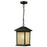 Z-Lite Holbrook Outdoor Chain Light, 8x13.5", Bronze, Tinted Seed - 507CHM-ORB