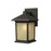 Z-Lite Holbrook Outdoor Wall Light 7.125x6x10.5", Bronze, Tinted Seed - 507S-ORB
