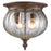 Z-Lite Belmont Outdoor Flush Mount Light, Bronze, Clear Seedy - 516F-WB