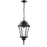 Z-Lite Wakefield Outdoor Chain Light, Black, Clear Beveled - 522CHM-BK