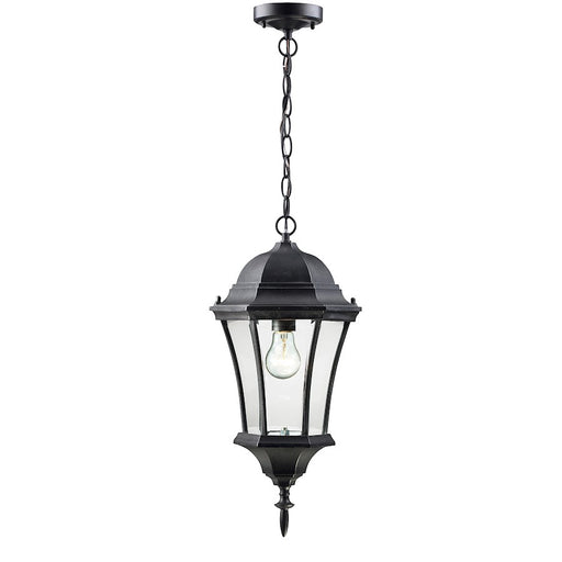 Z-Lite Wakefield Outdoor Chain Light, Black, Clear Beveled - 522CHM-BK