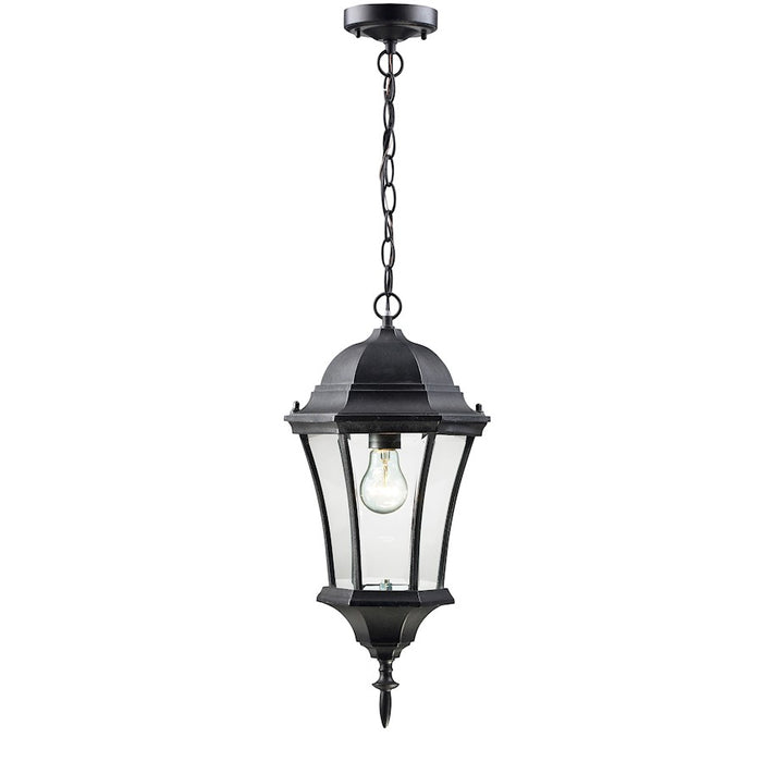 Z-Lite Wakefield Outdoor Chain Light, Black, Clear Beveled - 522CHM-BK