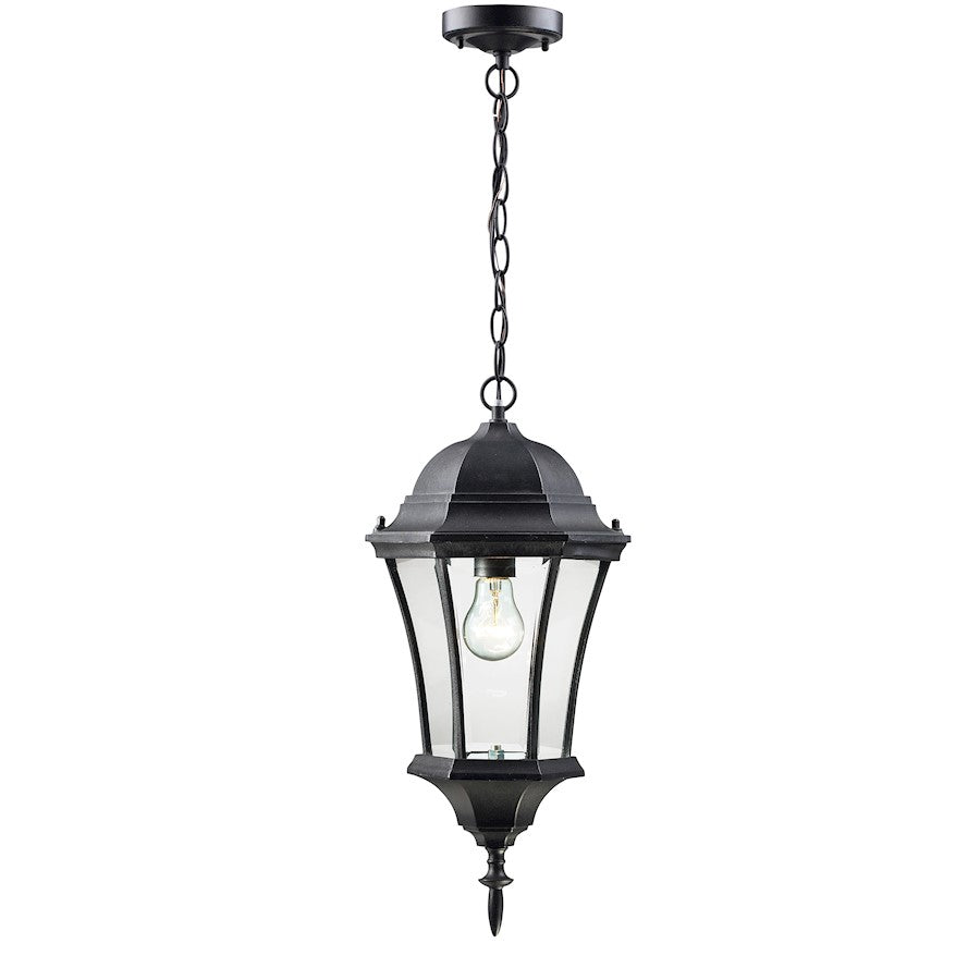 Z-Lite Wakefield Outdoor Chain Light, Black, Clear Beveled - 522CHM-BK