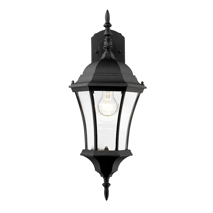 Z-Lite Wakefield Outdoor Wall Light, 10 x 9.5 x 24", Black/Clear Beveled