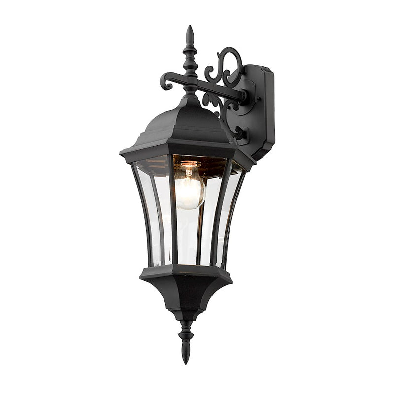 Z-Lite Wakefield Outdoor Wall Light, 10 x 9.5 x 24", Black/Clear Beveled