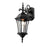 Z-Lite Wakefield Outdoor Wall Light, 8 x 8 x 21.75", Black/Clear Beveled
