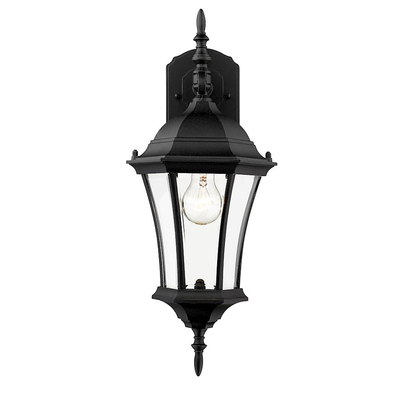 Z-Lite Wakefield Outdoor Wall Light, 8 x 8 x 21.75", Black/Clear Beveled