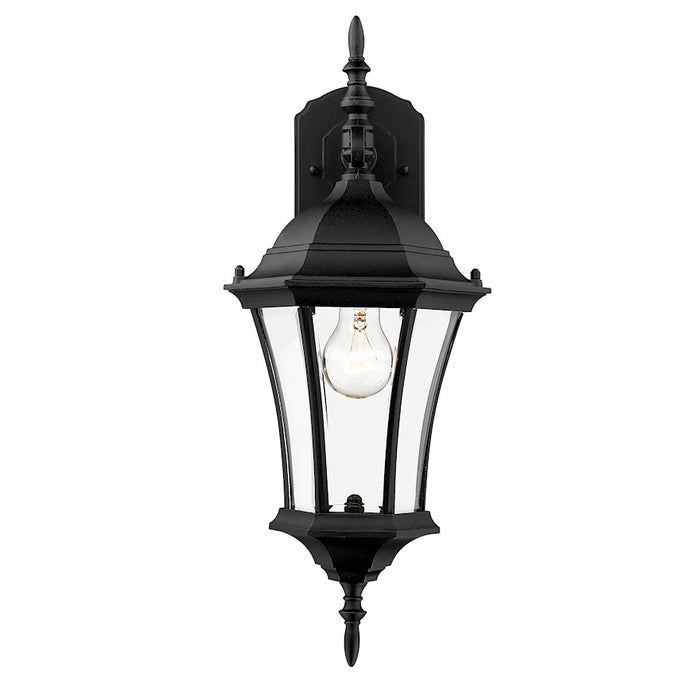 Z-Lite Wakefield Outdoor Wall Light, 8 x 8 x 21.75", Black/Clear Beveled