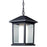 Z-Lite Mesa 1 Light Outdoor Chain Light, Black, Clear Beveled Out/Opal In - 523CHB