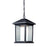 Z-Lite Mesa Outdoor Chain Light, Black, Clear Beveled Out/Matte Opal In - 523CHM