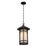 Z-Lite Woodland Outdoor Chain Light, 10x17.125", Black, Matte Opal - 527CHB-BK