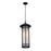 Z-Lite Woodland Outdoor Chain Light, 10x24.5", Black, Matte Opal - 529CHB-BK