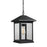 Z-Lite Portland 1 Light Outdoor Chain Light, 9.5x15.25", Black, Clear Bevel - 531CHB-BK