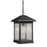 Z-Lite Portland 1 Light Outdoor Chain Light, 9.5x15.25", Bronze, Clear Seed - 531CHB-ORB