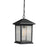 Z-Lite Portland 1 Light Outdoor Chain Light, 8x13.5", Bronze, Clear Seed - 531CHM-ORB