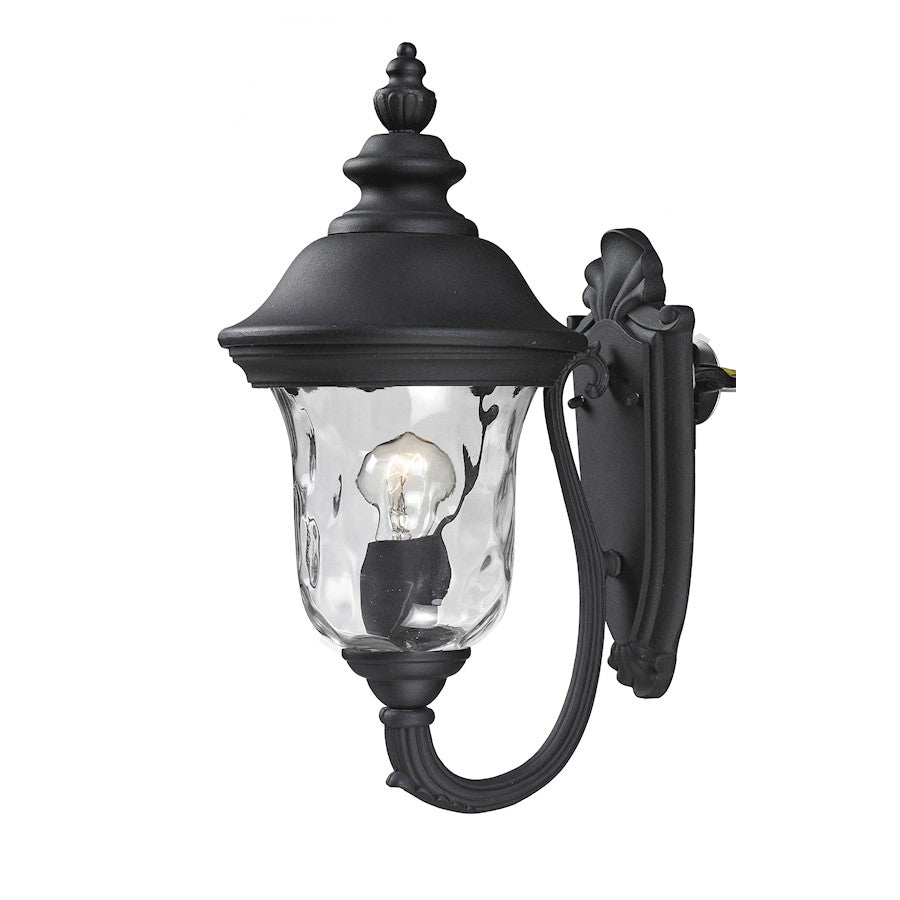 Z-Lite Armstrong Outdoor Wall Light 10.375x8x15.75", Black, Clear Waterglass - 533S-BK