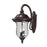 Z-Lite Armstrong Outdr Wall Light 16x12.375x24.25", Bronze, Clear Wtrgls - 534B-RBRZ
