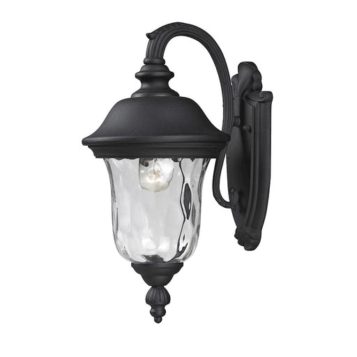 Z-Lite Armstrong Outdoor Wall Light 10.375x8x15.75", Black, Clear Waterglass - 534S-BK