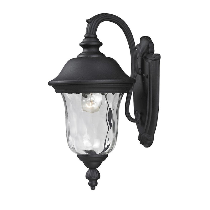 Z-Lite Armstrong Outdoor Wall Light 10.375x8x15.75", Black, Clear Waterglass - 534S-BK