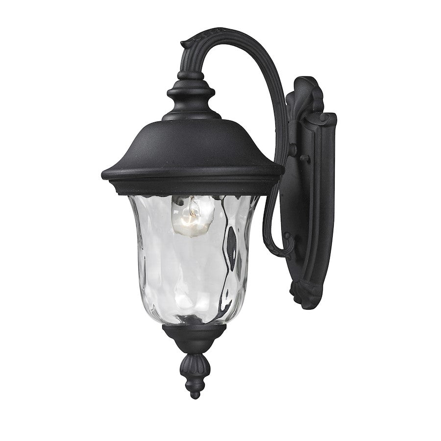 Z-Lite Armstrong Outdoor Wall Light 10.375x8x15.75", Black, Clear Waterglass - 534S-BK