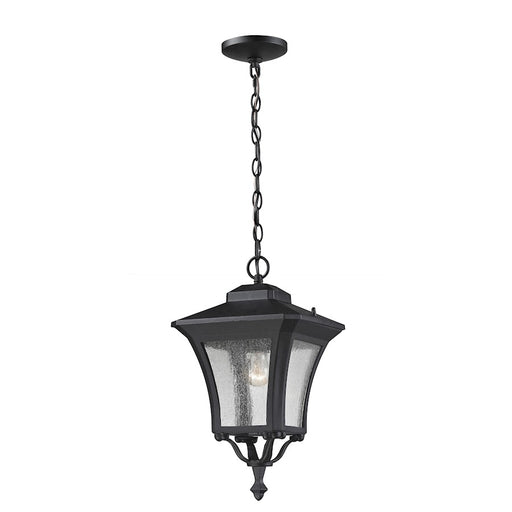 Z-Lite Waterdown Outdoor Chain Light, Sand Black, Clear Seedy - 535CHM-BK