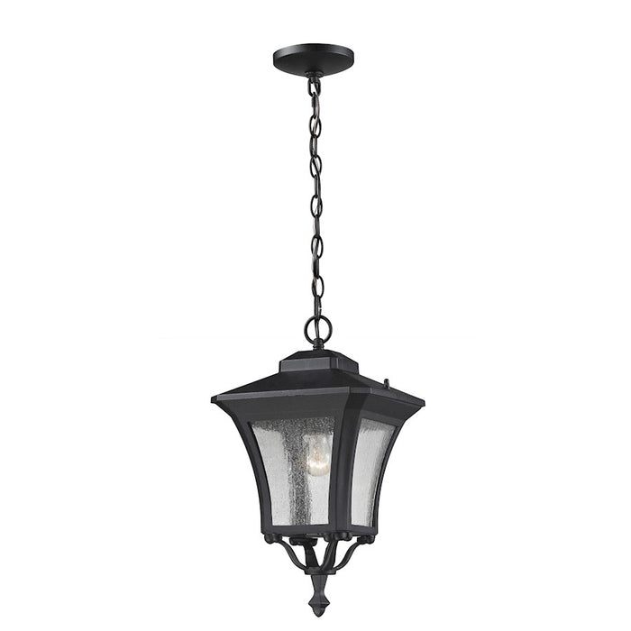 Z-Lite Waterdown Outdoor Chain Light, Sand Black, Clear Seedy - 535CHM-BK
