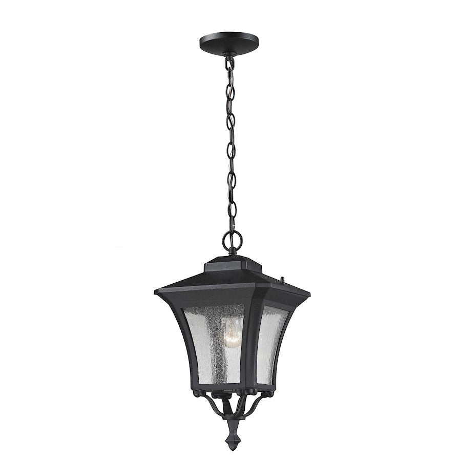 Z-Lite Waterdown Outdoor Chain Light, Sand Black, Clear Seedy - 535CHM-BK