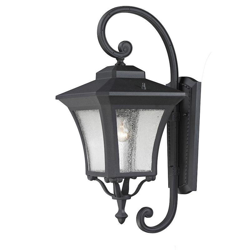 Z-Lite Waterdown Outdoor Wall Light, Sand Black, Clear Seedy - 535M-BK