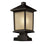 Z-Lite Holbrook Outdoor Post Light 9.5x19.5", Bronze, Tint Seed - 537PHB-SQPM-ORB