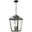 Z-Lite Bayland 3 Light Outdoor Chain Light, 11x11x19", Bronze, Clear Seed - 539CHB-ORB