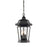 Z-Lite Melbourne 3 Light Outdoor Chain Light, Black, Clear Beveled - 540CHB-BK