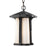 Z-Lite Harbor Lane 1 Light Outdoor Chain Light, 9x15", Black, Opal - 542CHB-BK