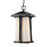 Z-Lite Harbor Lane 1 Light Outdoor Chain Light, 7.5x12", Black, Opal - 542CHM-BK